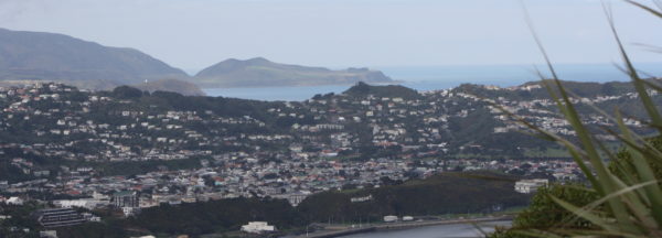 Evans Bay, Wellington sign & Wellington airport