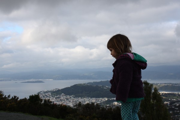 Alice looking at Wellington city