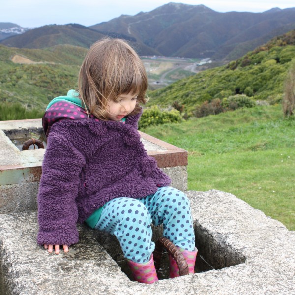 Wellington's south coast from the wind turbine