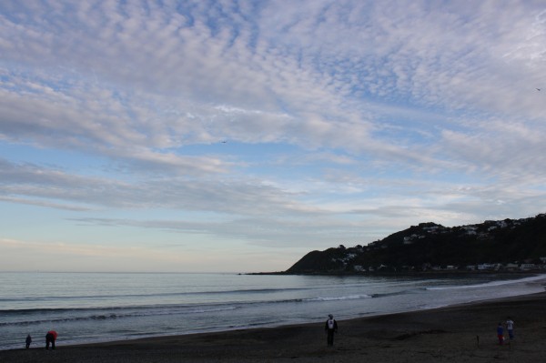 Lyall Bay, Wellington