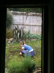 Sophie de-mossing the garden!