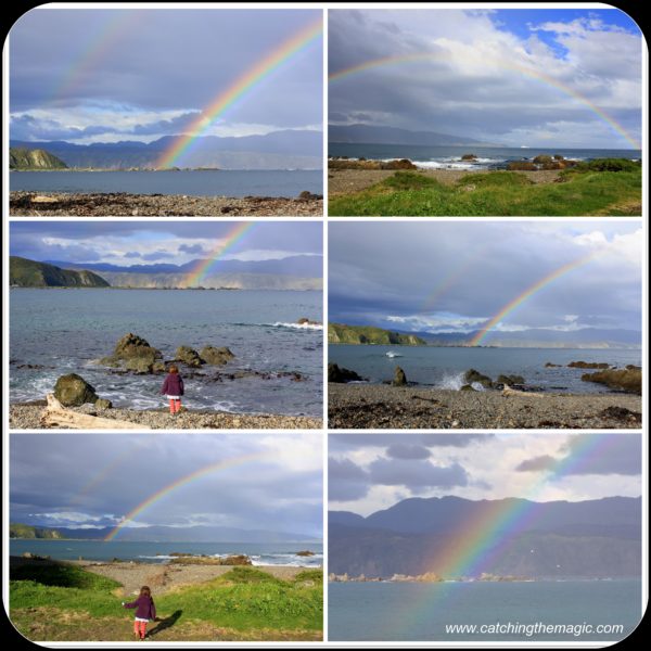 Rainbows of spring in Wellington