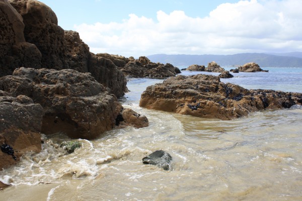 Scorching Bay, Miramar Peninsula, Wellington