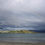 I’ve discovered what fuels those surfers at Lyall Bay…