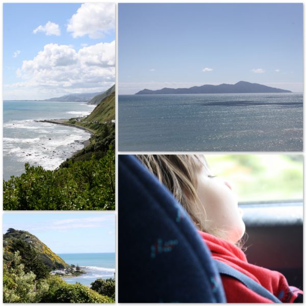 Driving up the Kapiti Coast