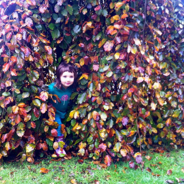 Alice hiding in an autumnal tree at Grandma and Granddad's house
