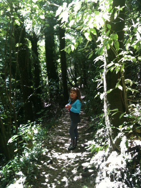 Sophie at Otari Wilton's Bush with the Natural Learners Group