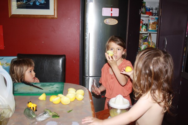 Getting down to the serious business of lemon squeezing!