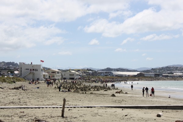 Guiness World Record broken at Lyall Bay