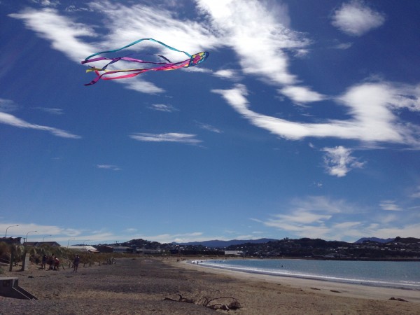 Lyall Bay