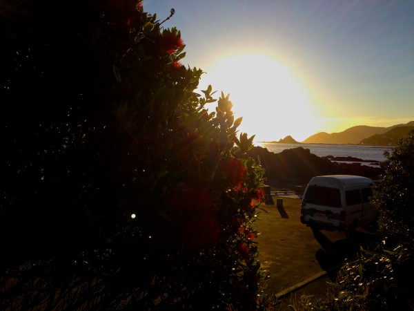 Princess Bay at the end of a sunshine day