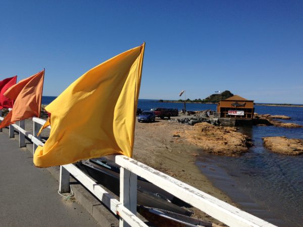 Island Bay Marine Centre open!