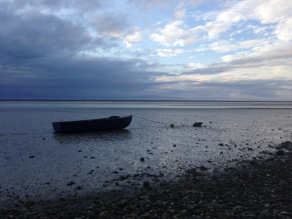 Atawhai tidal mudflats, Nelson, New Zealand