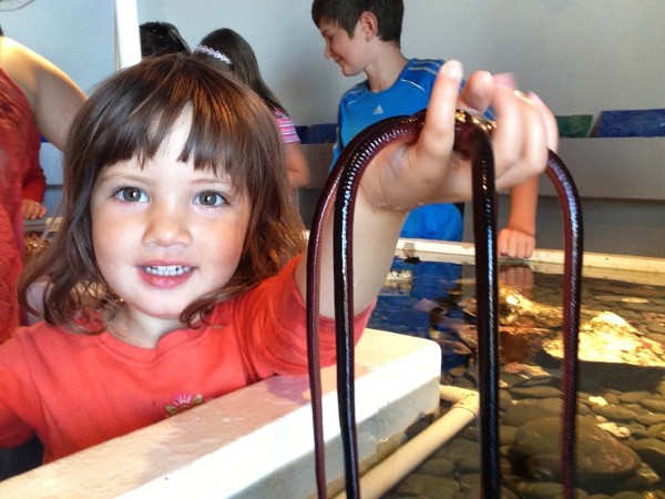 Alice holding a brittle star