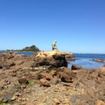 Little Miss Explorer – Wellington’s South Coast