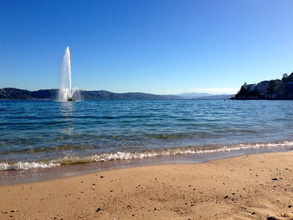 Oriental Bay
