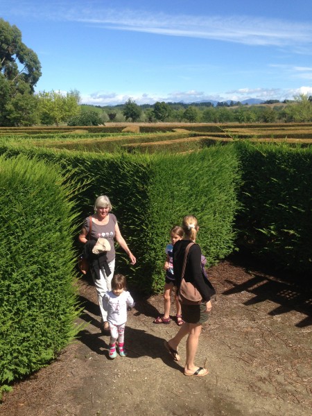 Which way now? In the maze at Stoneridge, Nelson
