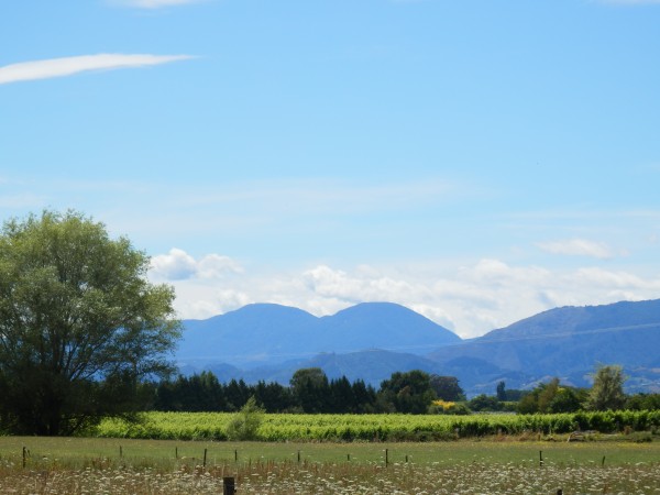 Nelson, New Zealand