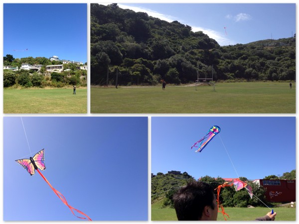 Kite flying in Houghton Valley