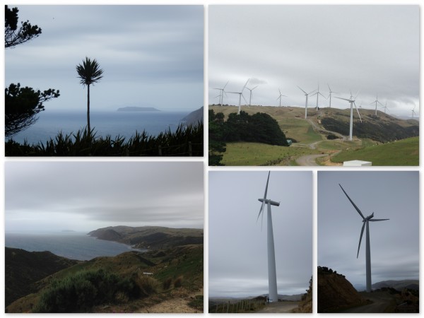 Makara wind farm - West wind - Meridian Energy