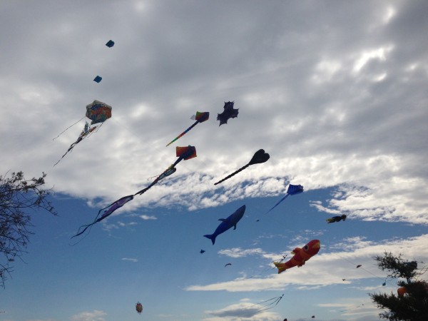 Kite Festival