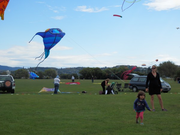 Kite Festival