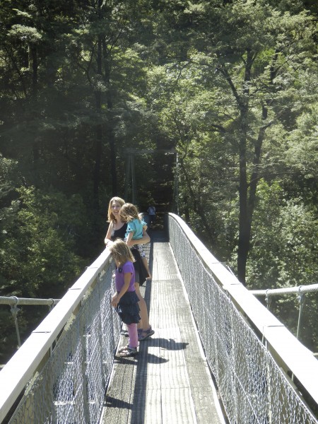 Swing bridges