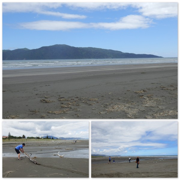 Kapiti Island