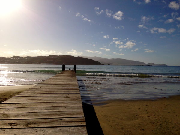 Another sun filled day at Lyall Bay, Wellington, endless summer of 2013