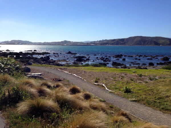 Wellington's south coast