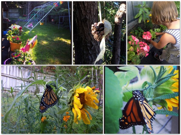 Fun in the garden, planting and feeding the birds