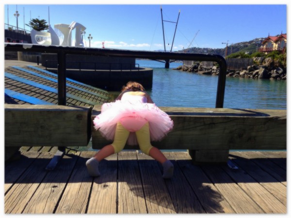 Miss 3 in her tutu at Wellington lagoon