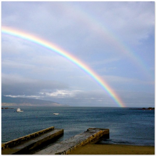 Double rainbow over Island Bay, Wellington, New Zealand after 9 weeks of no rain