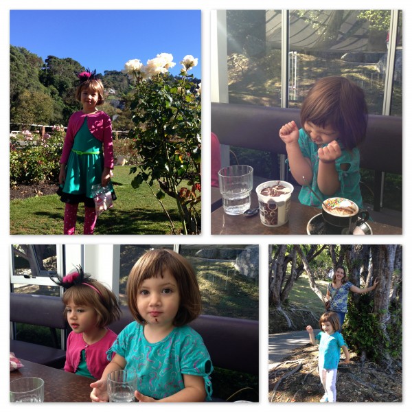 Visit to Wellington Botanical Garden
