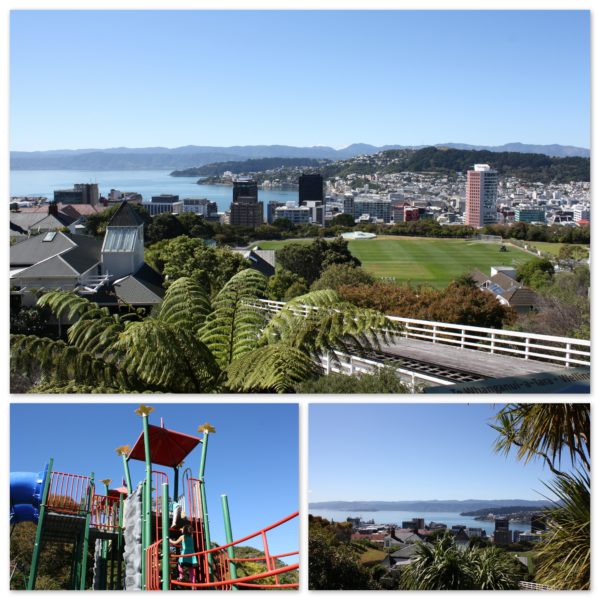 Wellington and the Botanical Garden