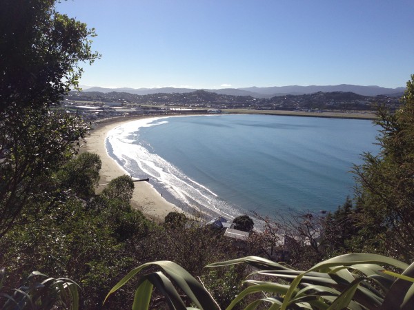 Lyall Bay