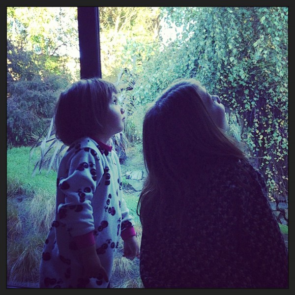 Pausing on the stairs on a Sunday morning to see the season changing in the garden
