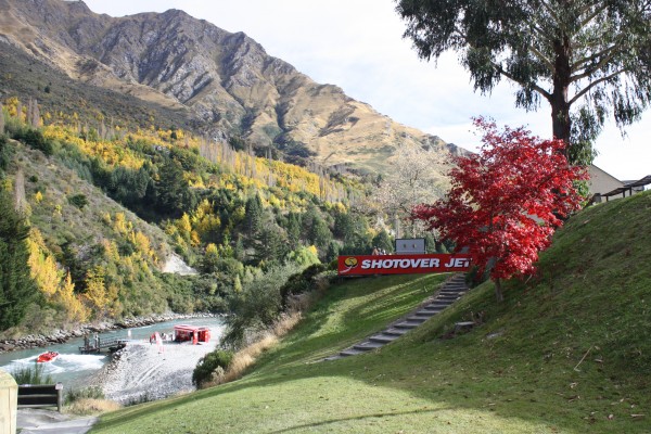 Autumn on the Shotover