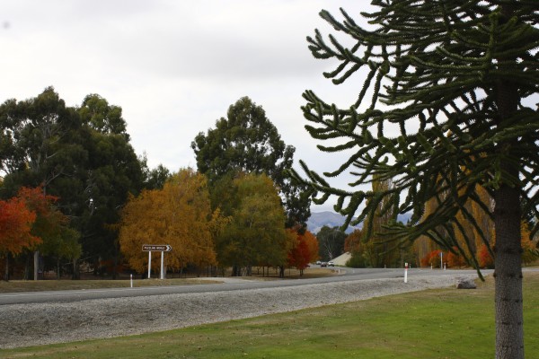 Wanaka