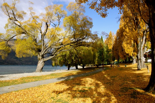 On the shore of Lake Wakatipu, Queenstown, Autumn loveliness