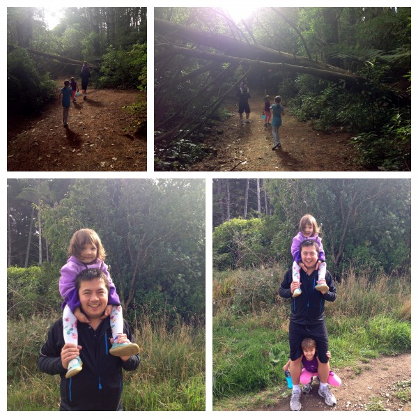 Following the cross country trail at Karori Park