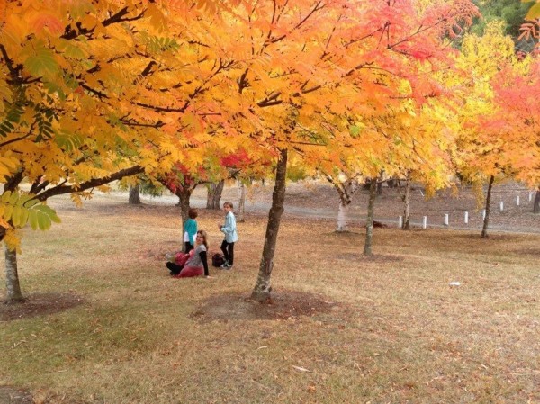Autumn wardrobes under autumnal colours in Wanaka