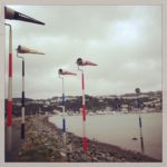 The colourful side of the wind in Wellington