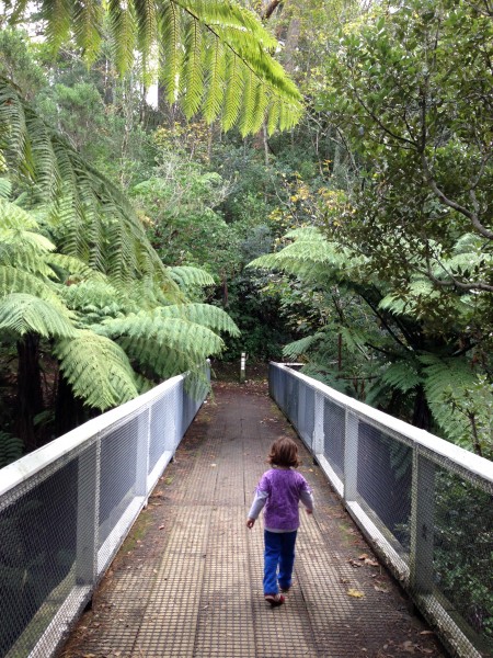 Central Park, Brooklyn, Wellington, New Zealand