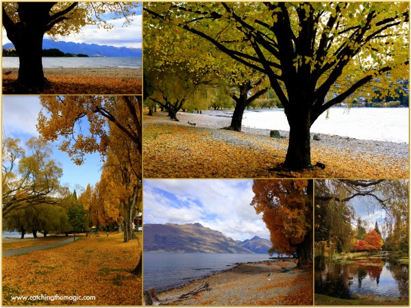 Autumn colours in Queenstown