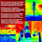 The colourful side of the wind in Wellington