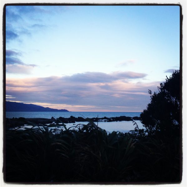 Wellington's south coast on Saturday evening