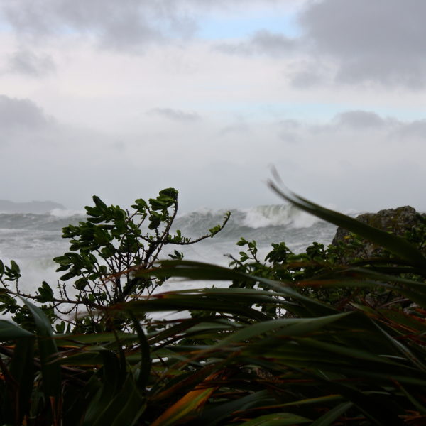 south coast of Wellington storm June 2013