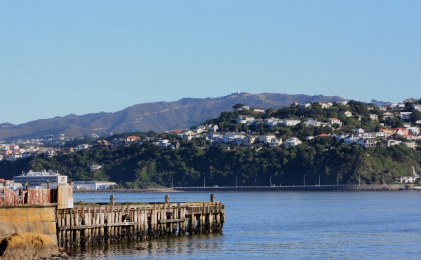 Wellington from Shelly Bay
