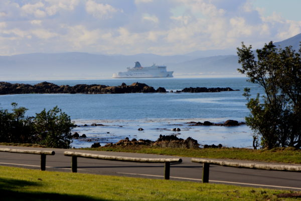 Interislander ferry leaving Wellington harbour, sailing past Seatoun